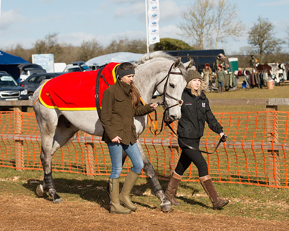 Race 1 - 4-5-6 Maiden (29 of 119).jpg