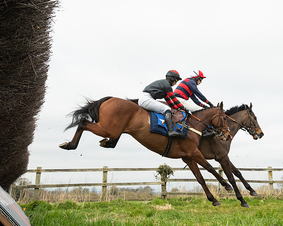 Race 2 - Veteran Horse (73 of 153)