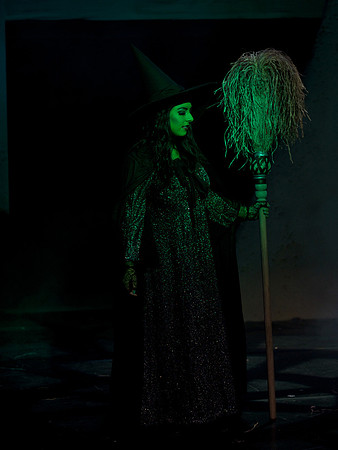 The Wizard of OZ -  341