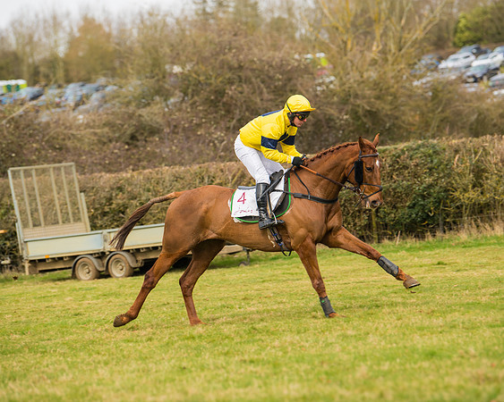 Race 2 - Open Maiden (10 of 128)