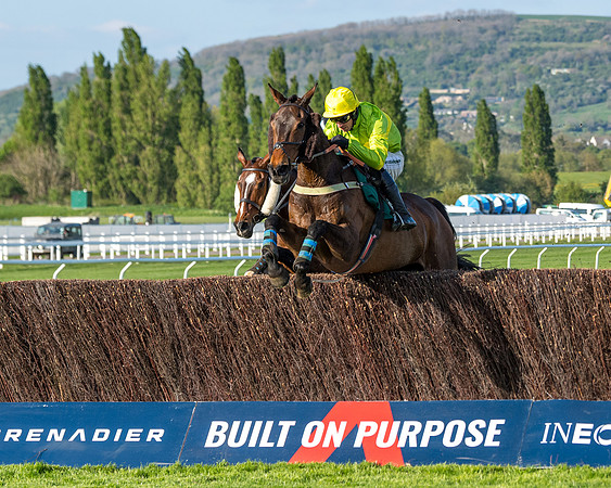 Race 3 - KTDA Hunters' Steeple Chase  (147 of 226)