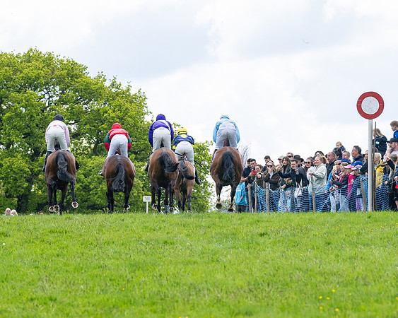 Race 2 - Veteran Horse (23 of 80)