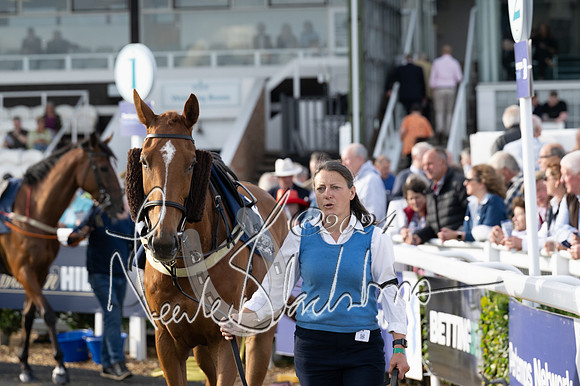 Race 3 - The pointtopoint.co.uk champion novices’ Hunter Chase (47 of 140)