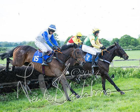 Race 5  - Maiden race 2m5F Div-1 (149 of 197)