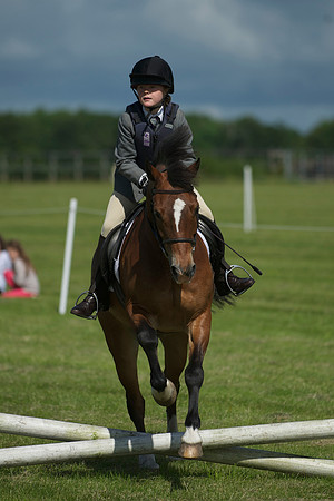 SOHS PC Summer Show at BCA 17th June 2012