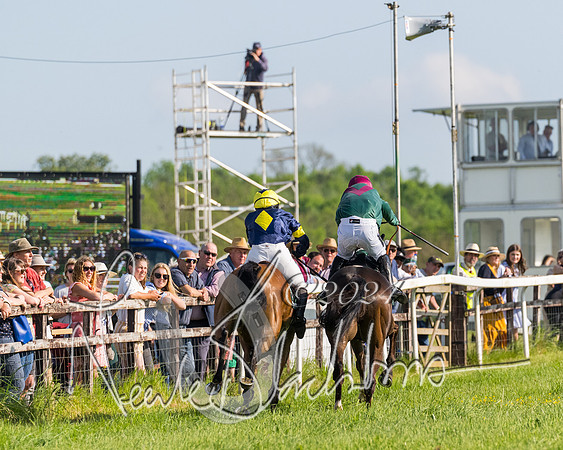 Race 6 - Owner trainer conditions (210 of 272)