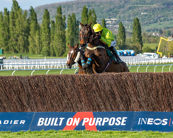 Race 3 - KTDA Hunters' Steeple Chase  (146 of 226)