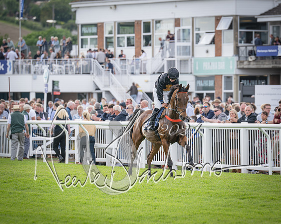 Race 2 - Olly Murphy Racing Stratford Ladies Open (43 of 111)