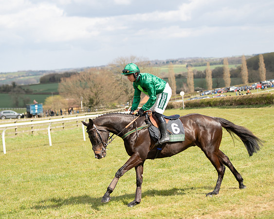 Race 2 - Young Horse Maiden (19 of 104)