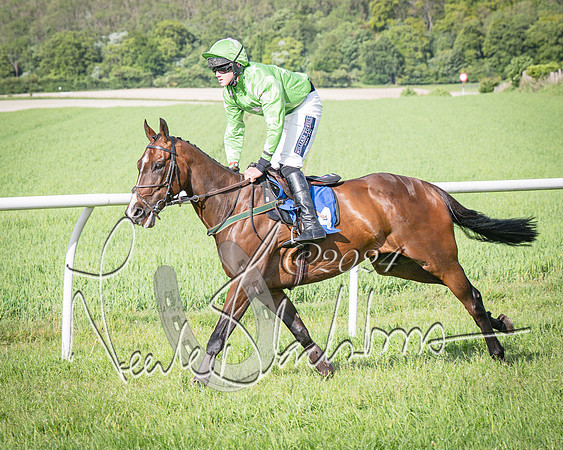 Race 6 - Thorn Plant Hire Maiden Race (32 of 129)
