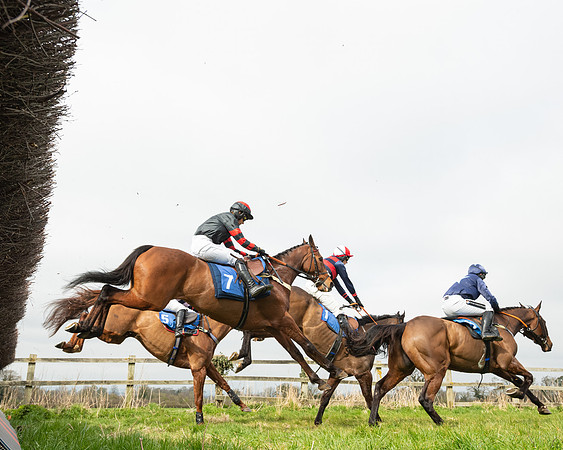 Race 2 - Veteran Horse (21 of 153)
