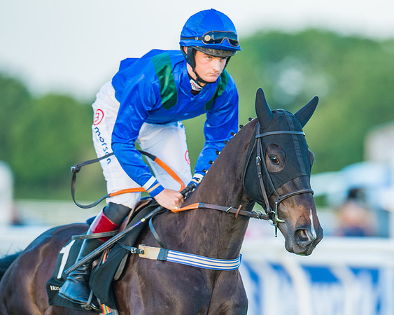 Race 7 - ITM Bumper (22 of 72)