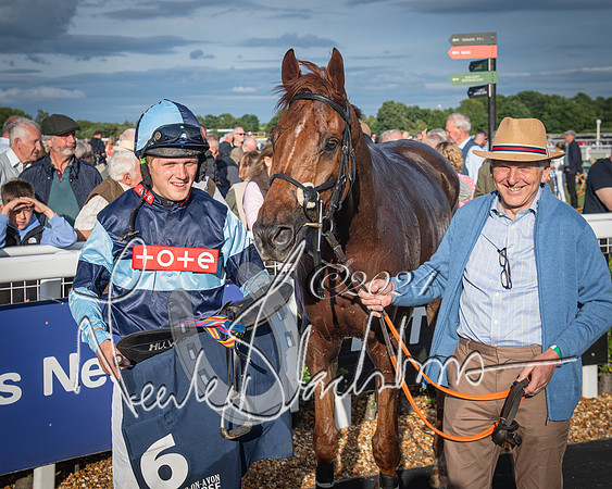 Race 3 - The pointtopoint.co.uk champion novices’ Hunter Chase (126 of 140)