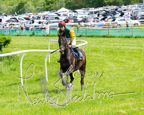 RAce 1 - Conditionsn [Level 2] (58 of 219)