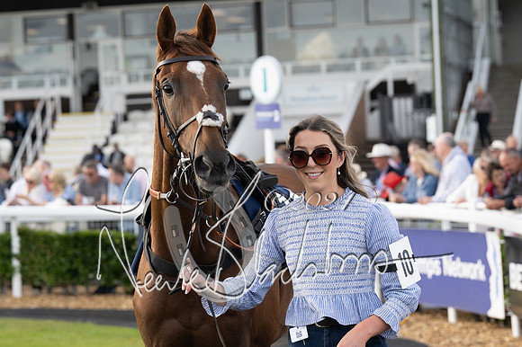 Race 3 - The pointtopoint.co.uk champion novices’ Hunter Chase (36 of 140)