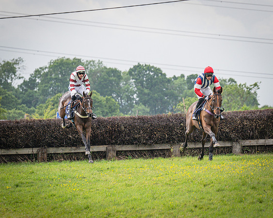 Race 6 - 2M4F Maiden (25 of 85)