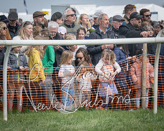 Race 2 - The Elliott of London maiden race (6 of 137)