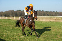 Races 5 - Restricted 11