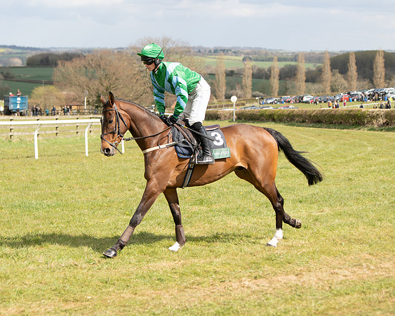 Race 2 - Young Horse Maiden (30 of 104)