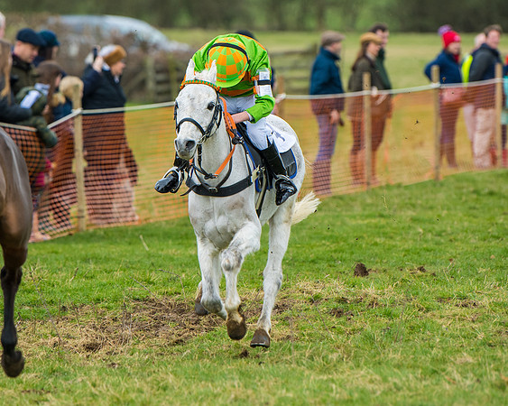 Pony Race 2 (107 of 162)