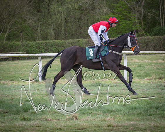 Race 7 - The Jockey Club maiden race for Mares and Fillies only (24 of 96)