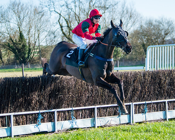Race 5 - Novice riders (142 of 201)