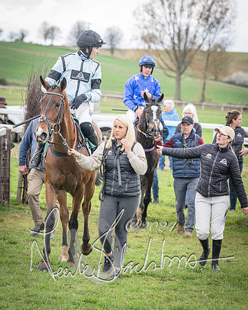Race 2 - Tattersalls Cheltenham 4 year old Maiden (74 of 85)