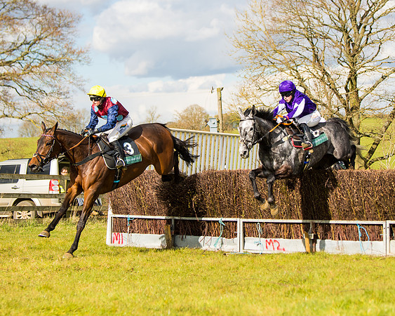 Race 5 - Restricted  (38 of 118)