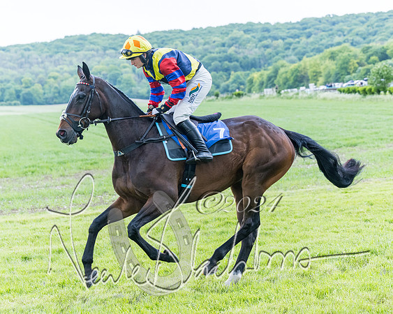 Race 3 - Conditions (84 of 367)