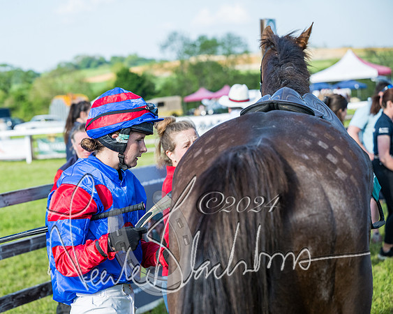 Race 7 - Veteran Horse (214 of 246)
