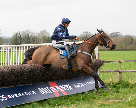 Race 2 - Veteran Horse (112 of 153)