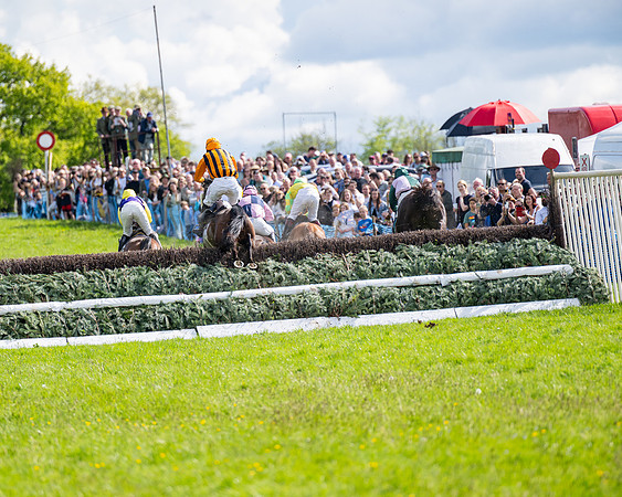 Race 4 -  2M4F Conditions  (65 of 102)