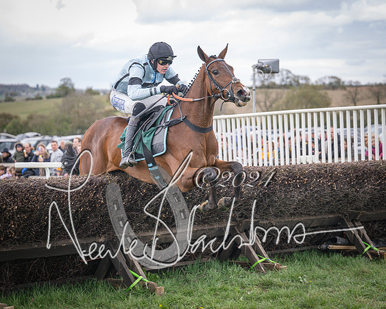 Race 2 - Tattersalls Cheltenham 4 year old Maiden (60 of 85)
