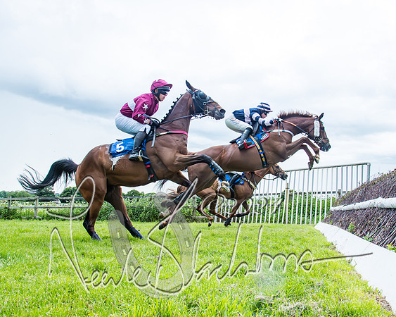 Race 3 - Conditions (211 of 367)
