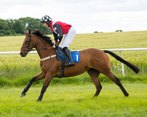 Race 1 - Owner Trainer Conditions  (42 of 133)