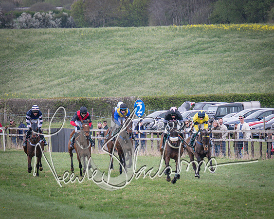 Race 3 - 5 years old and Over Maiden Race (36 of 130)