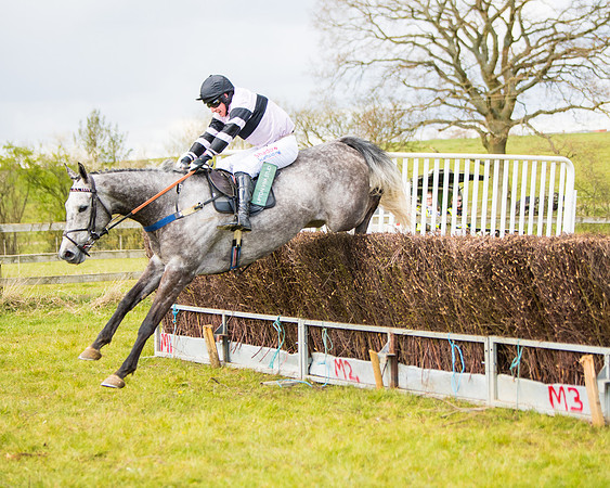 Race 5 - Restricted  (79 of 118)