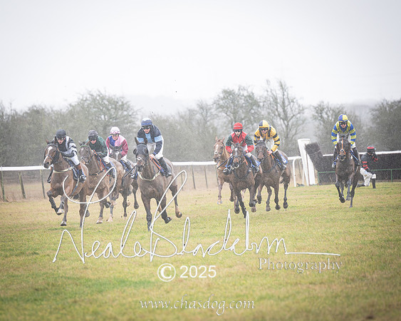 Race 2 - Restricted (8 of 70)-Enhanced-NR