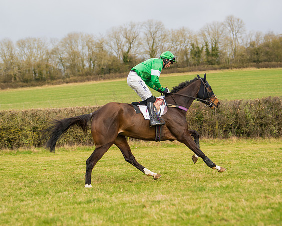 Race 2 - Open Maiden (25 of 128)