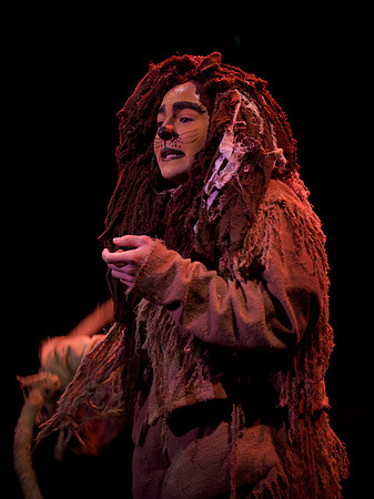 The Wizard of OZ -  162