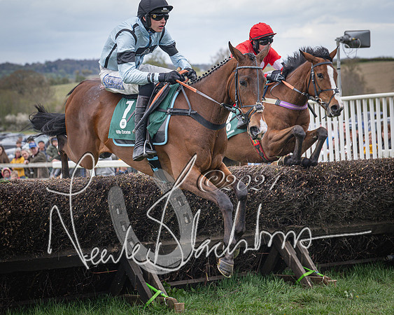 Race 2 - Tattersalls Cheltenham 4 year old Maiden (30 of 85)