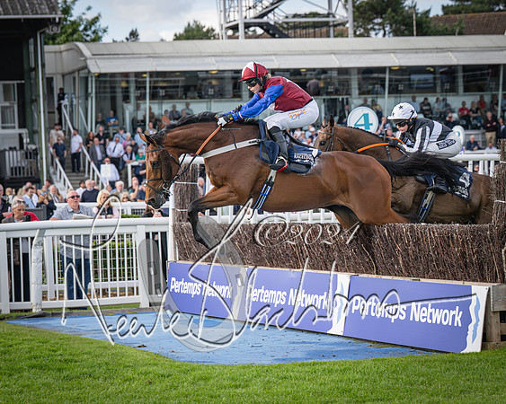 Race 2 - Olly Murphy Racing Stratford Ladies Open (74 of 111)
