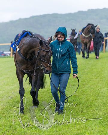 Race 1 - Owner-Trainer Conditions  (37 of 392)