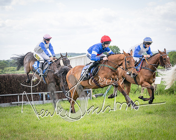 Race 2 - PPORA Members conditions race for Novice riders (84 of 127)