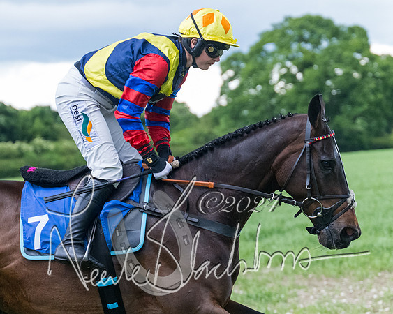 Race 3 - Conditions (184 of 367)