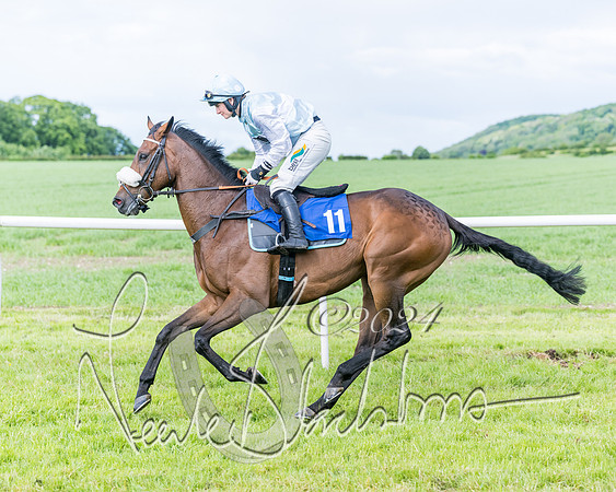 Race 5 - Restricted Race (141 of 434)