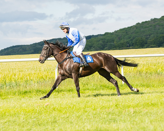 Race 6 - Open Maiden (57 of 227)