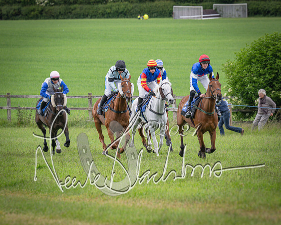 Race 2 - PPORA Members conditions race for Novice riders (48 of 127)