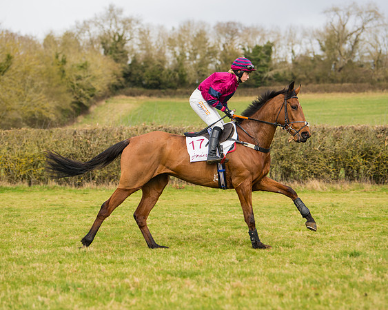 Race 2 - Open Maiden (33 of 128)