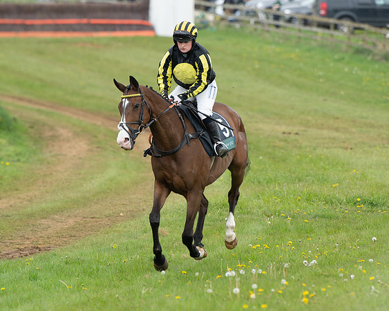 Race 2 - Jockey Club ROR veteran Horse (10 of 104)